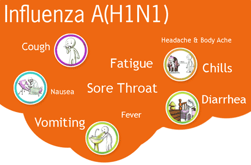 Swine flu info chart